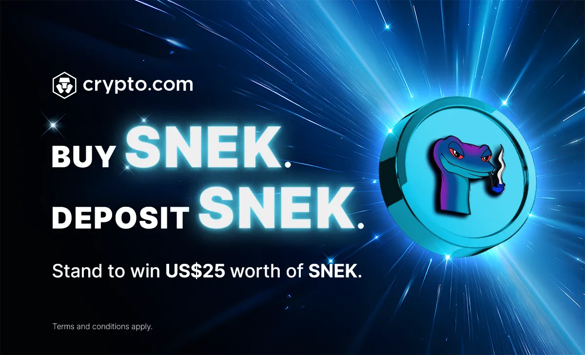 SNEK App Campaign