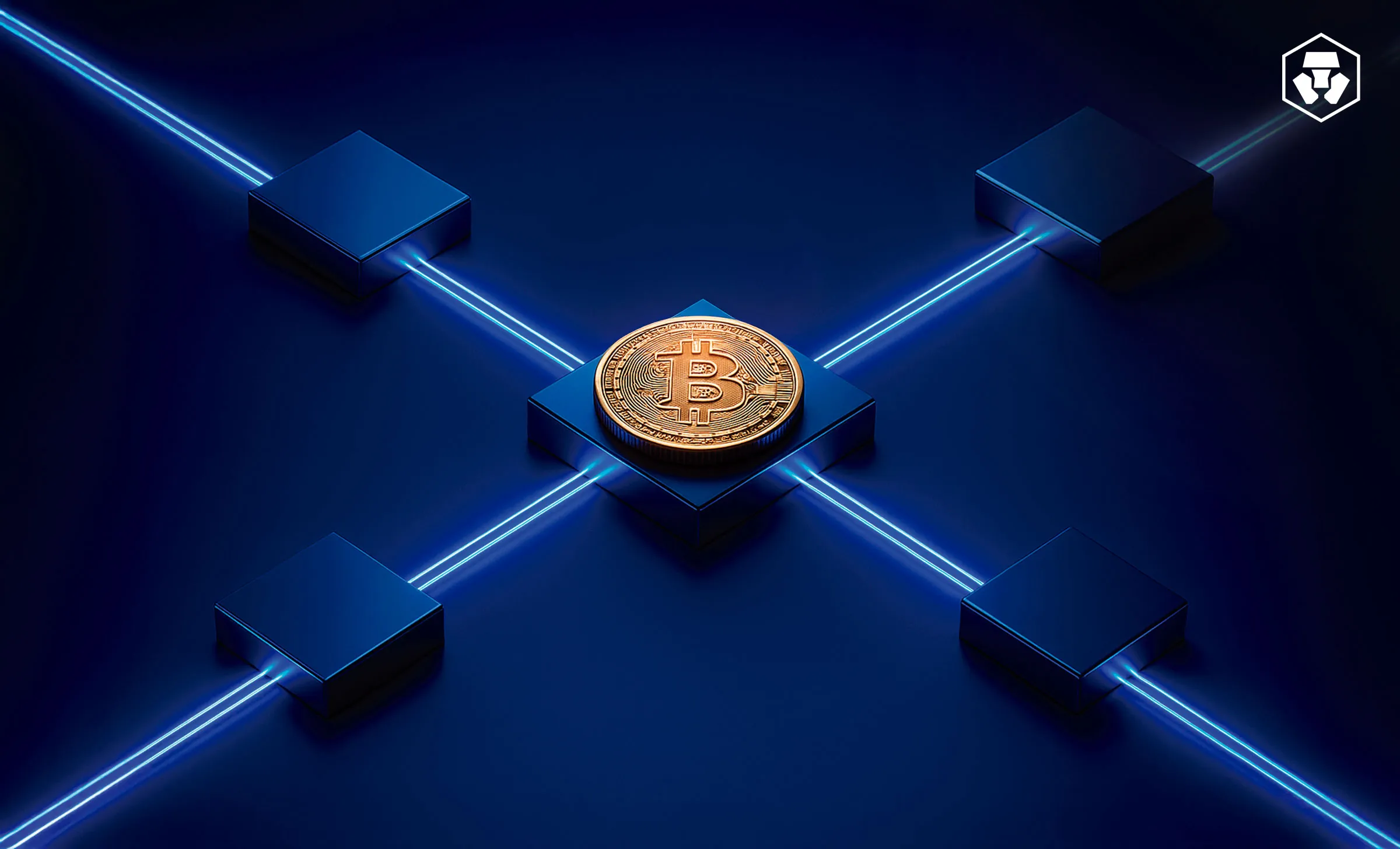 Bitcoin Payments via Lightning Network