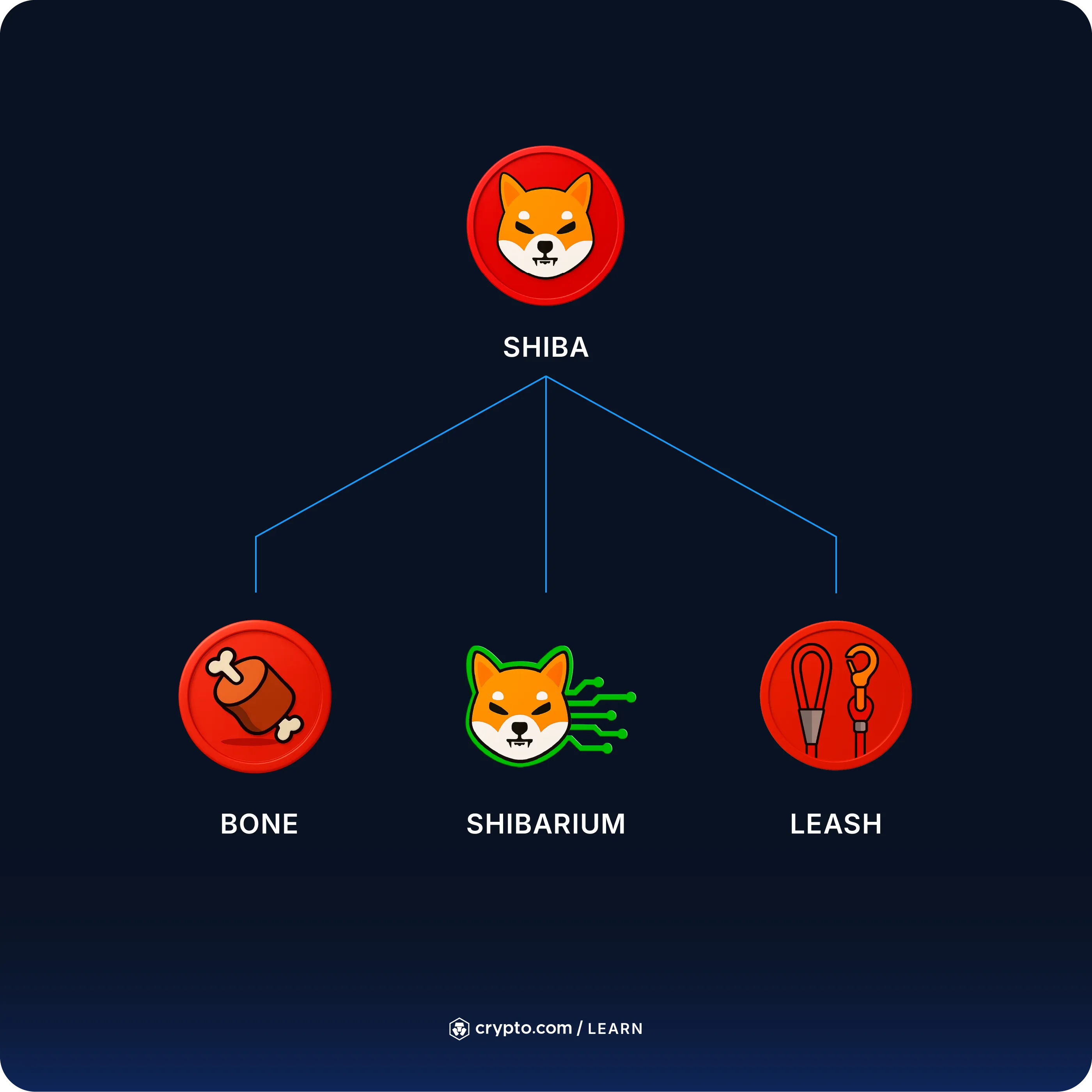 How to Buy Shiba Inu (SHIB) - Crypto.com International
