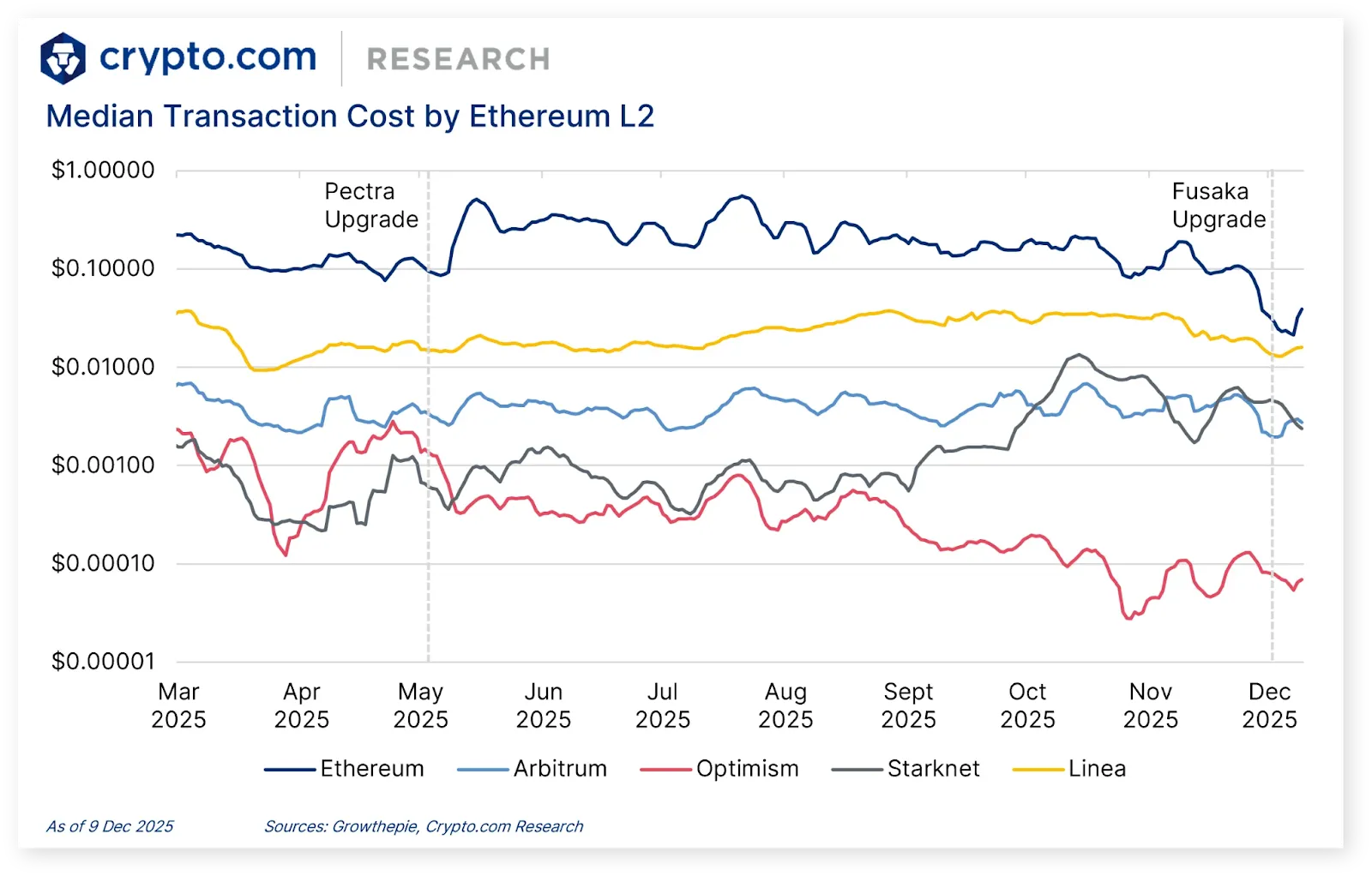 2025 Year Review & 2026 Year Ahead