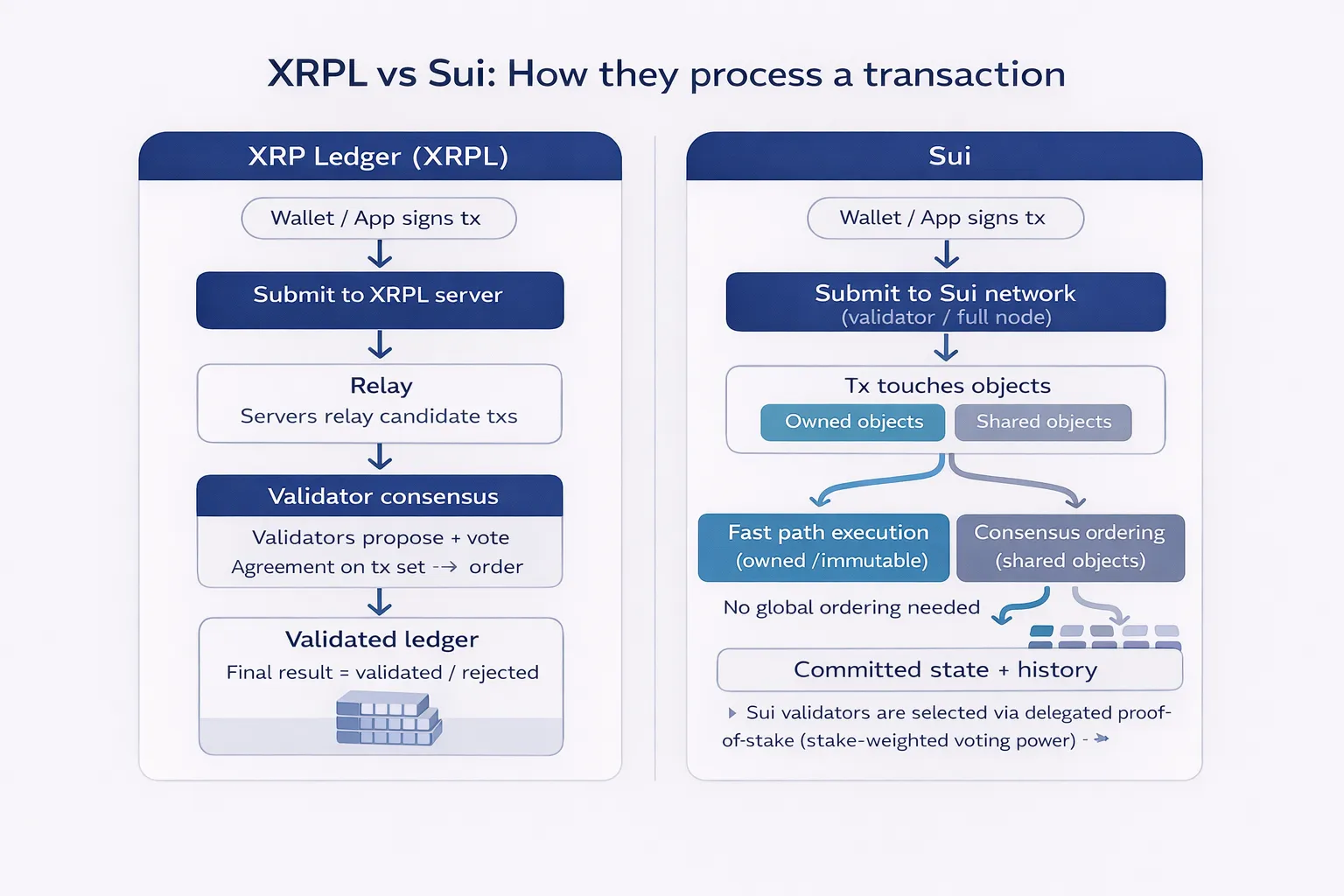 XRP vs Sui: What Are The Differences? - Crypto.com US